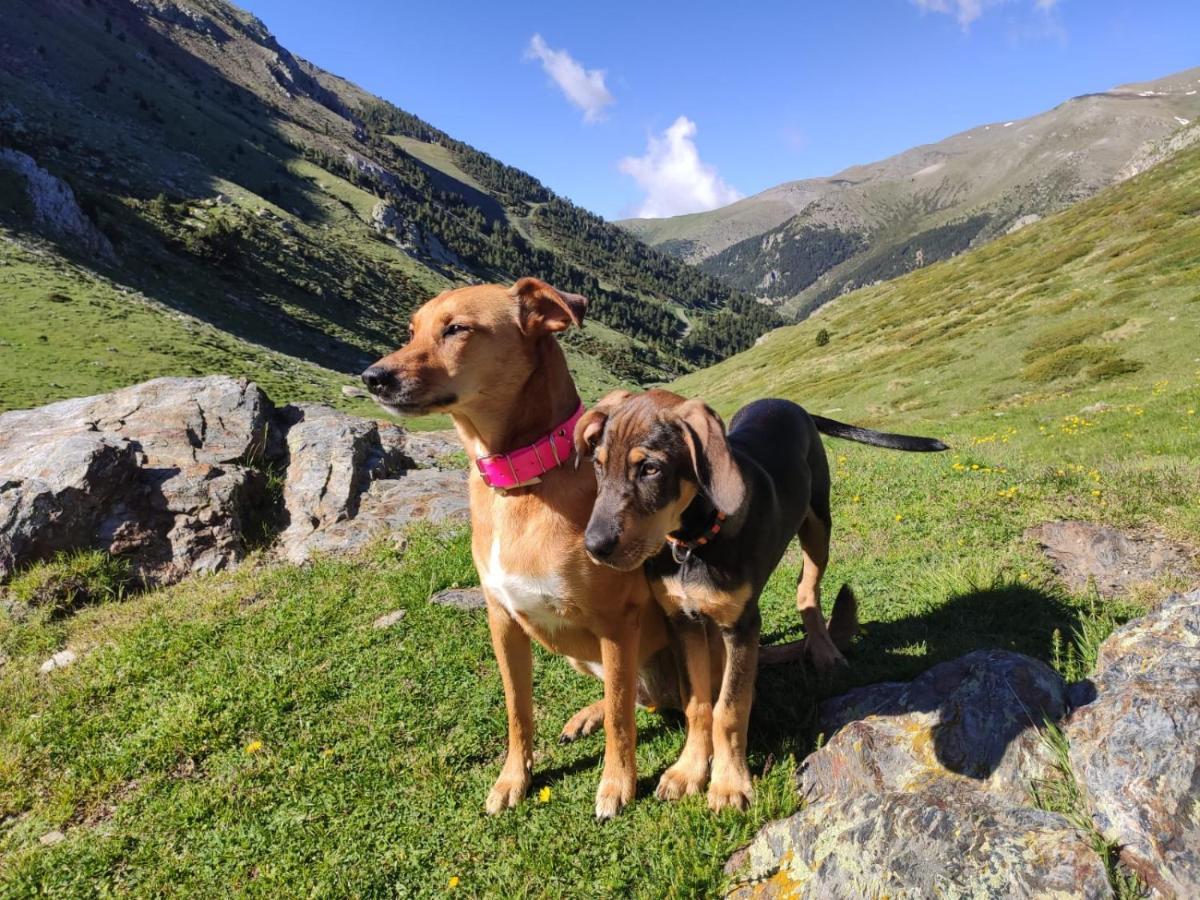 Apartaments Vall De Nuria Queralbs Bagian luar foto
